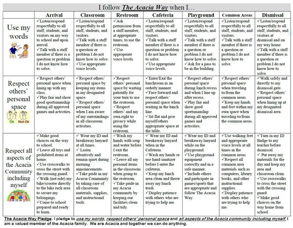 PBIS matrix